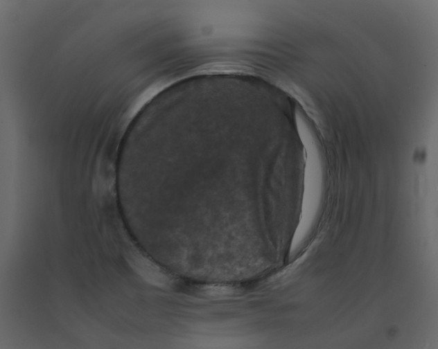 X0000092251465200710051249