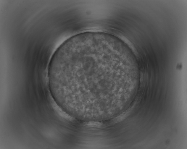 X0000092251466200710051249