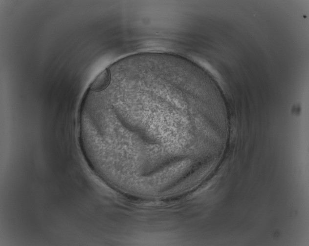 X0000092251467200710051249