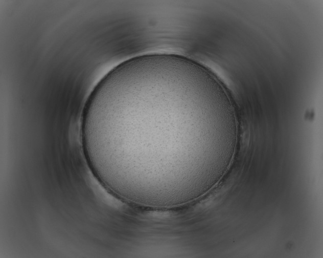 X0000092251468200710051249