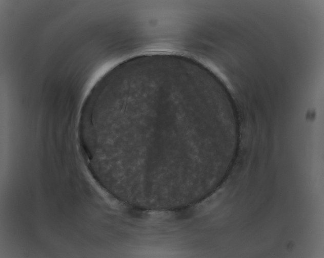 X0000092251469200710051249