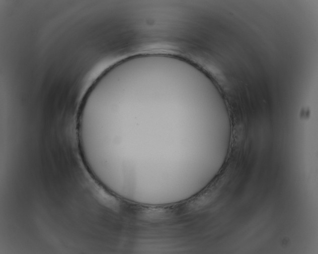 X0000092251470200710051249