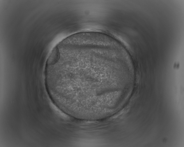 X0000092251471200710051249