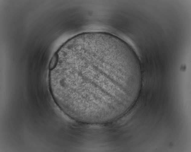 X0000092251472200710051249