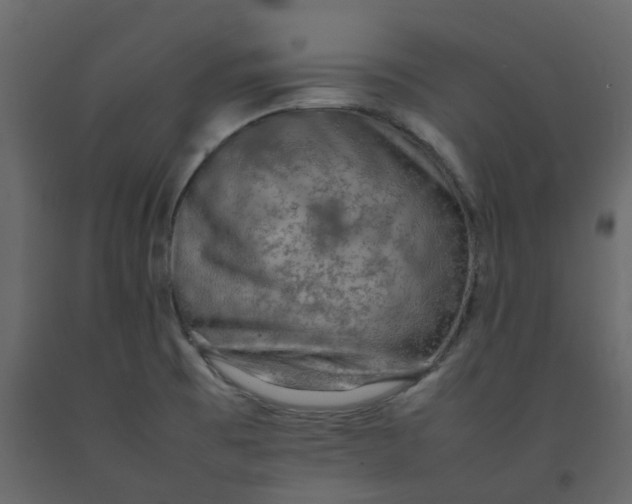 X0000092251473200710051249