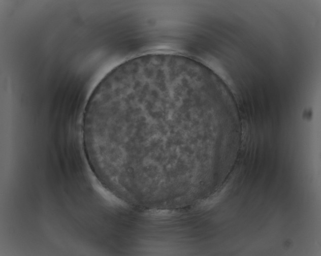 X0000092251474200710051249