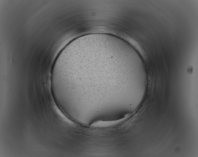 X0000092251476200710051249