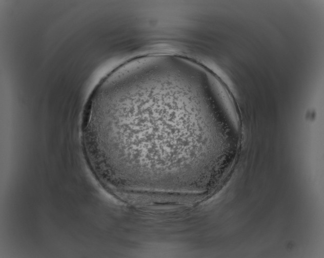 X0000092251477200710051249