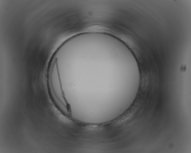 X0000092251478200710051249