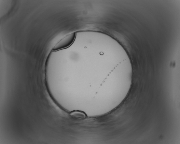 X0000092251479200710051249