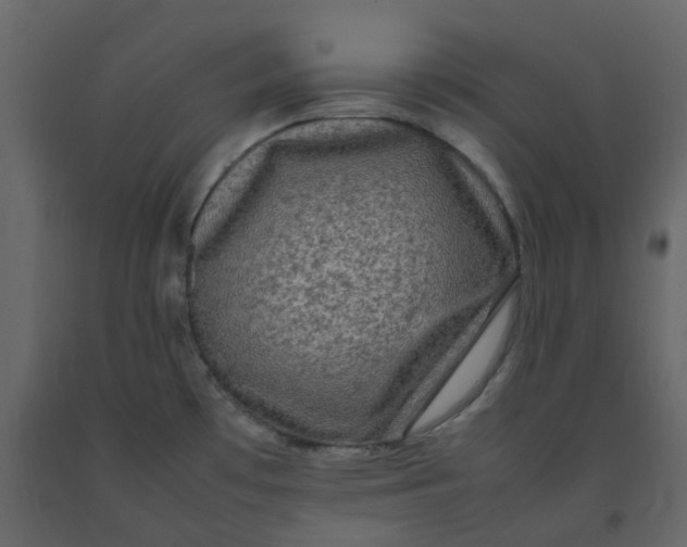 X0000092251481200710051249