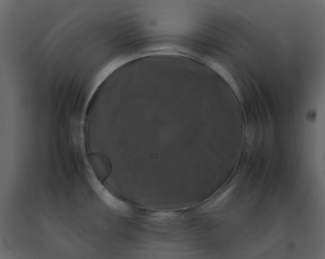 X0000092251482200710051249