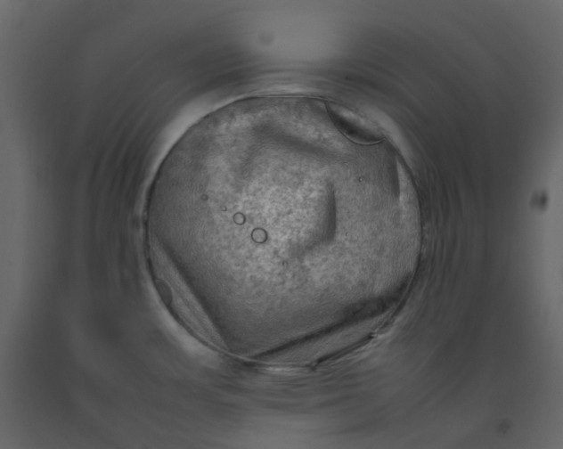 X0000092251483200710051249