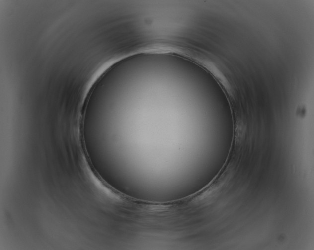 X0000092251484200710051249