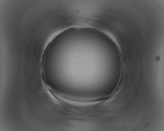 X0000092251485200710051249