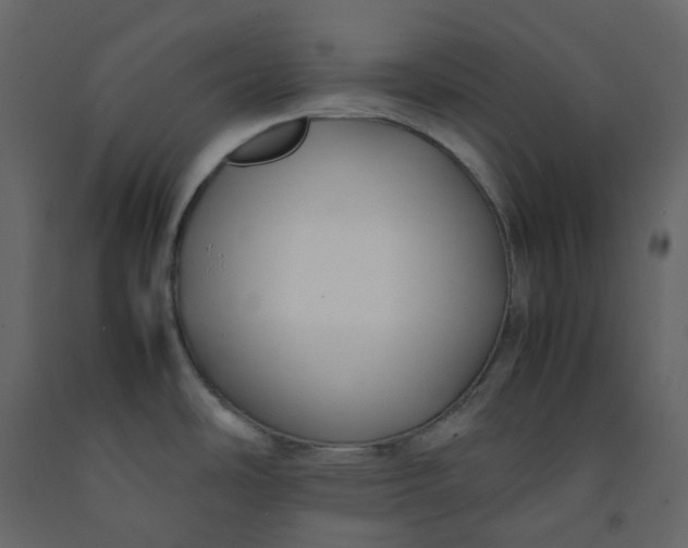 X0000092251486200710051249