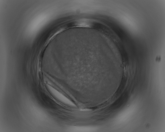 X0000092251487200710051249