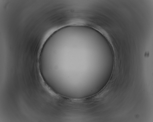 X0000092251488200710051249