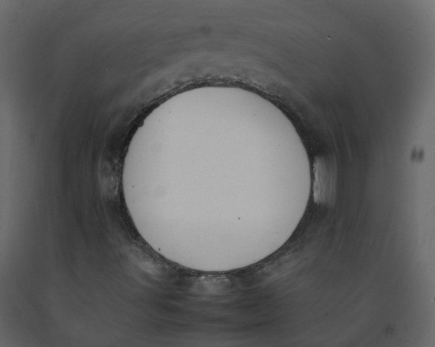 X0000092251491200710051248