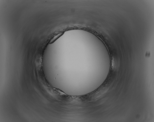 X0000092251492200710051248