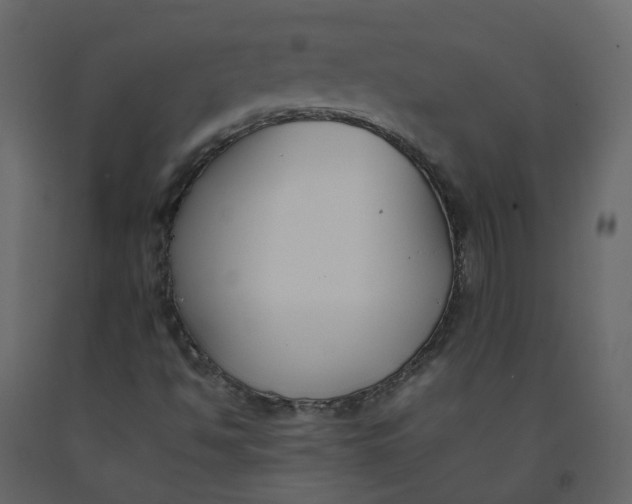 X0000092251494200710051248