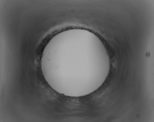 X0000092251495200710051248