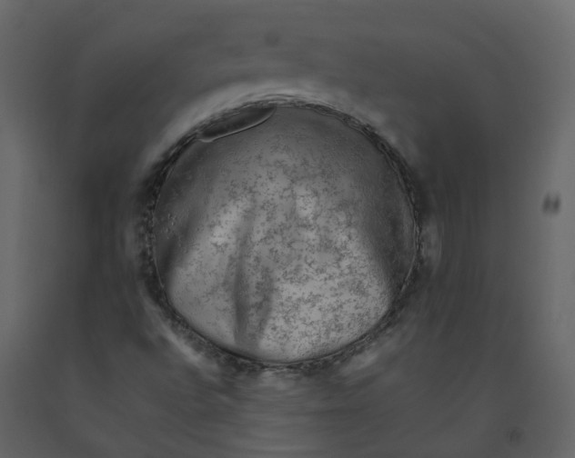 X0000092251496200710051248