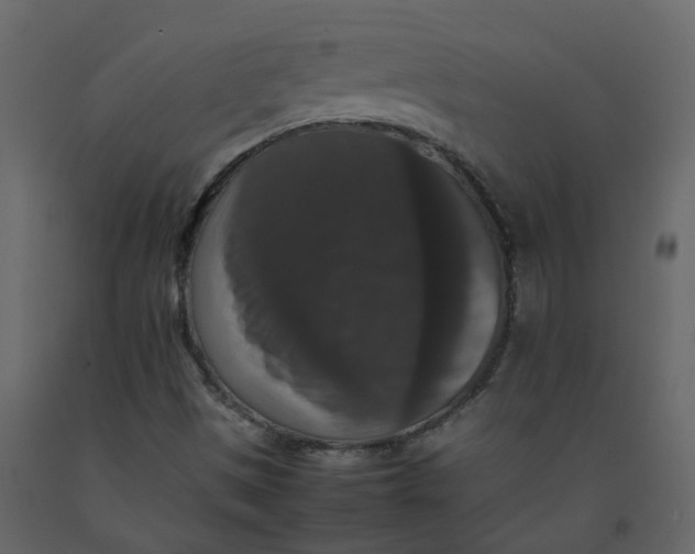 X0000092251497200710051248