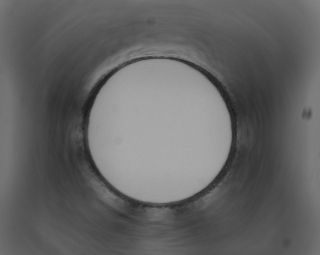 X0000092251498200710051248