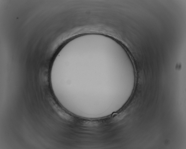 X0000092251499200710051248