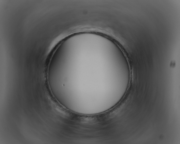 X0000092251501200710051248