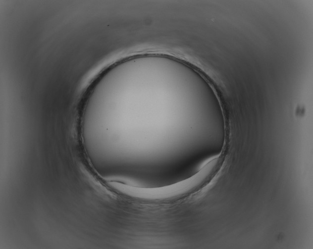 X0000092251502200710051248