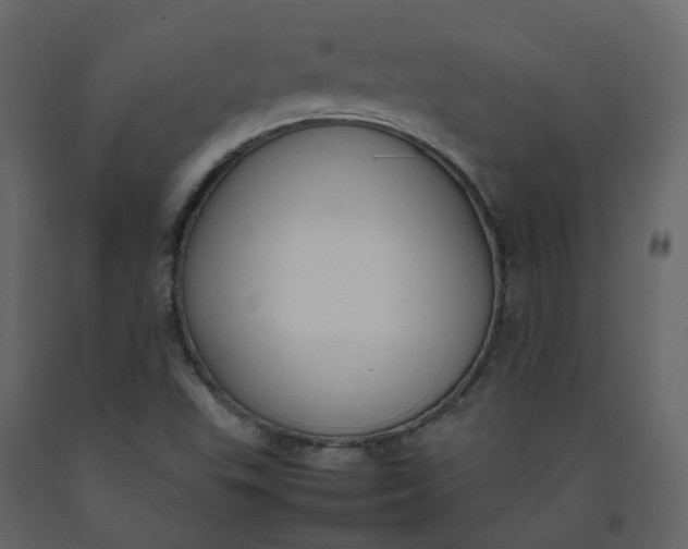 X0000092251503200710051248