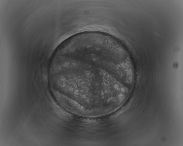 X0000092251505200710051248