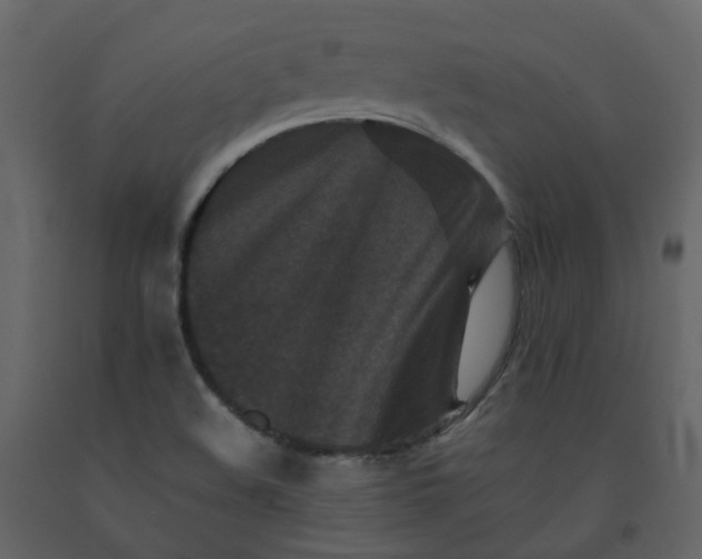 X0000092251508200710051248