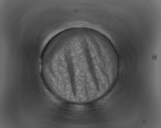 X0000092251509200710051248