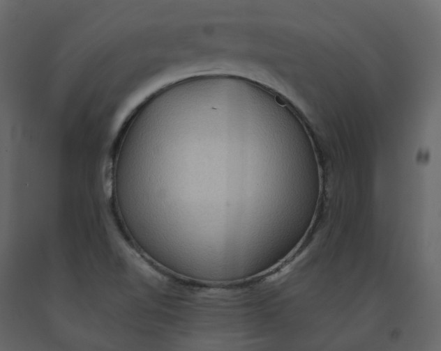 X0000092251510200710051248