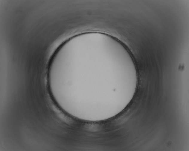 X0000092251511200710051248