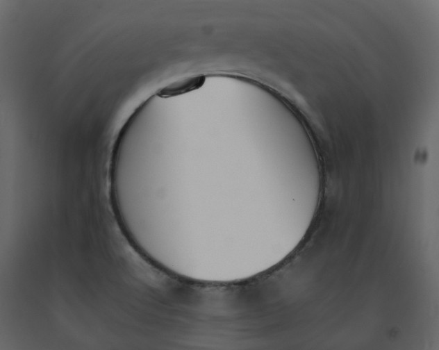 X0000092251512200710051248