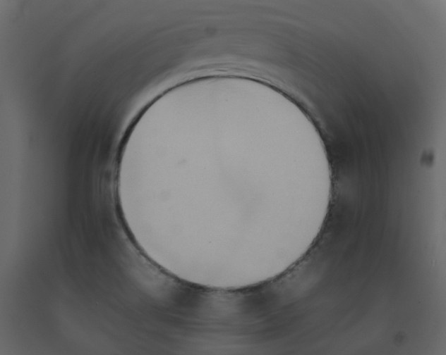 X0000092251514200710051248