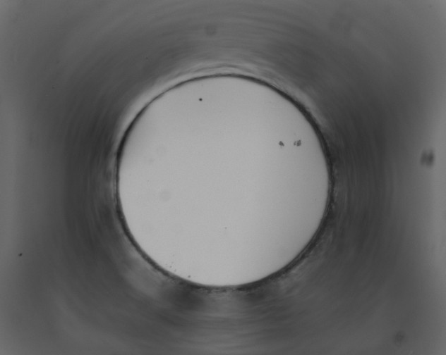 X0000092251516200710051248