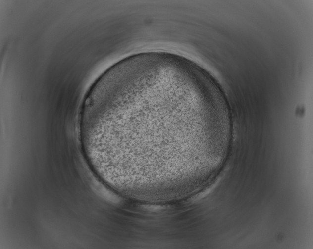 X0000092251517200710051248