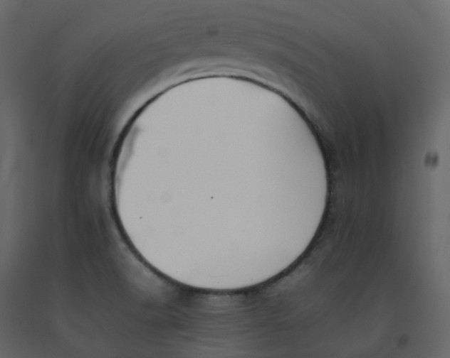 X0000092251518200710051249