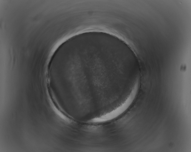 X0000092251519200710051249