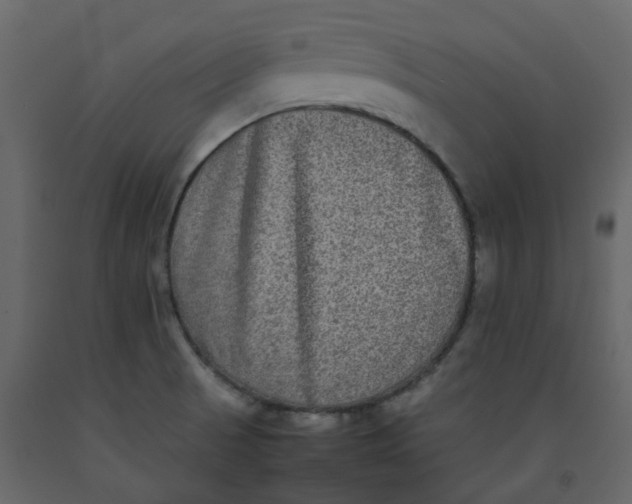 X0000092251521200710051249