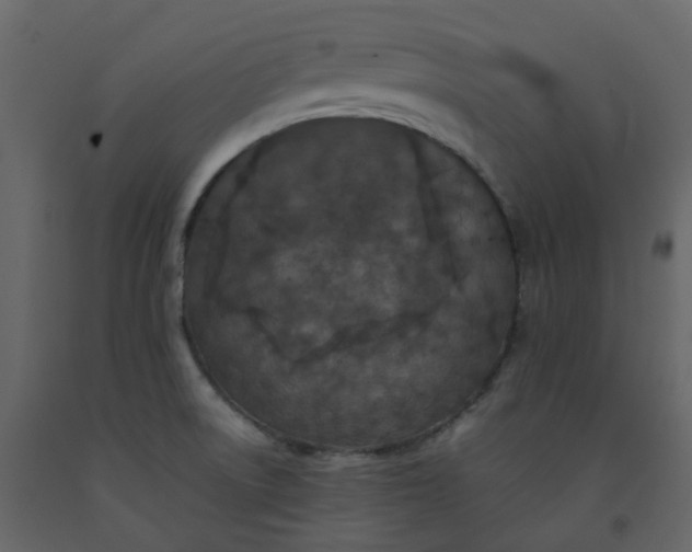 X0000092251522200710051249