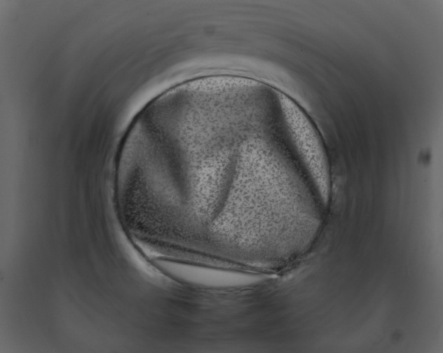 X0000092251523200710051249