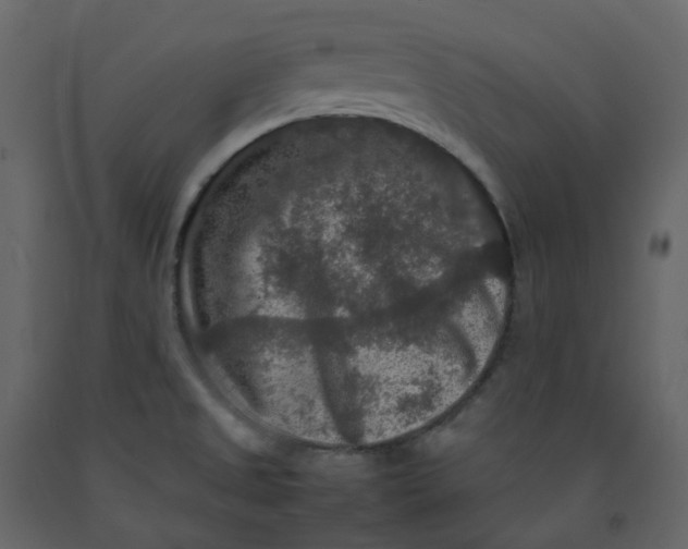 X0000092251525200710051249