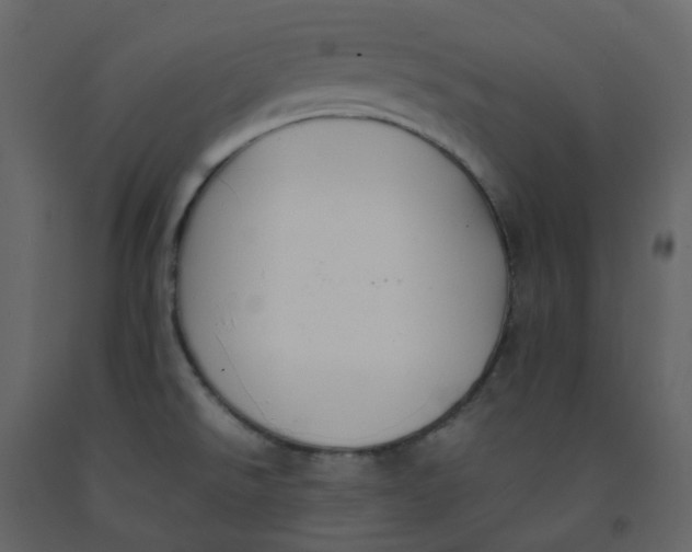 X0000092251526200710051249