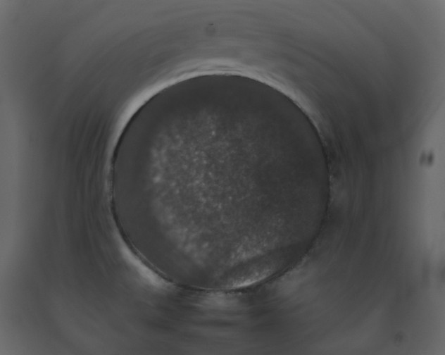 X0000092251527200710051249